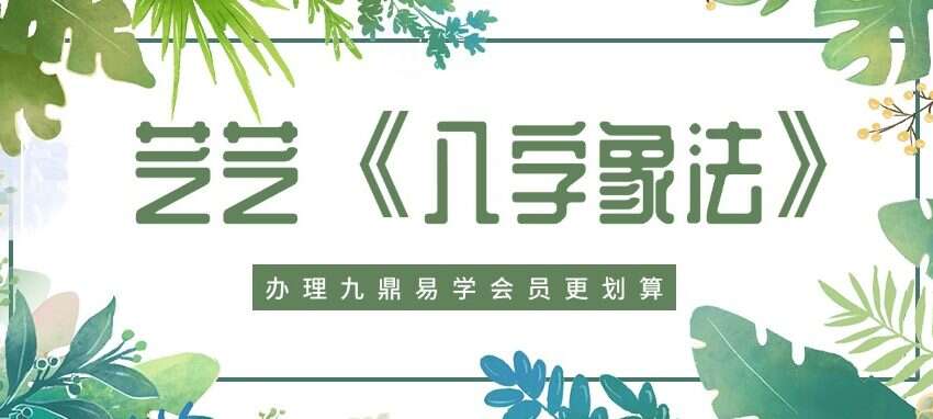 芝芝《八字象法》61集视频