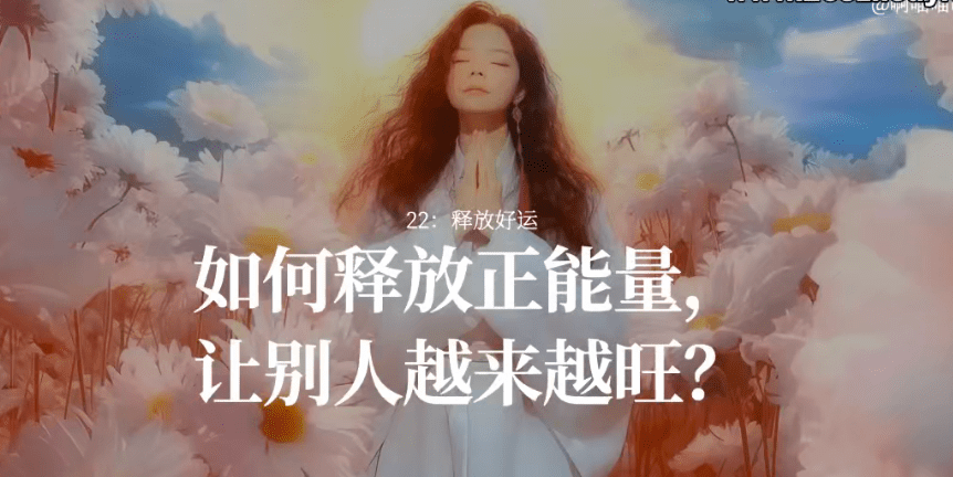 锦鲤体质养成计划 24集视频