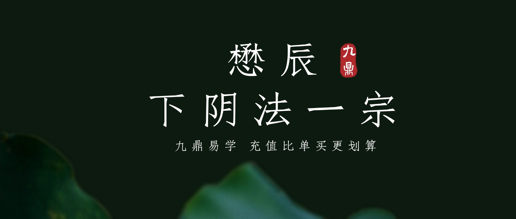 懋辰~下阴法一宗 视频+课件