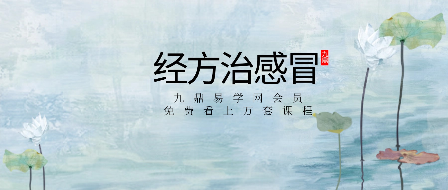 经方治感冒 愤怒的小中医5集 视频