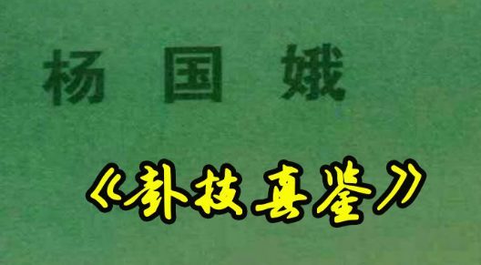 杨国娥卦技真鉴 225页pdf