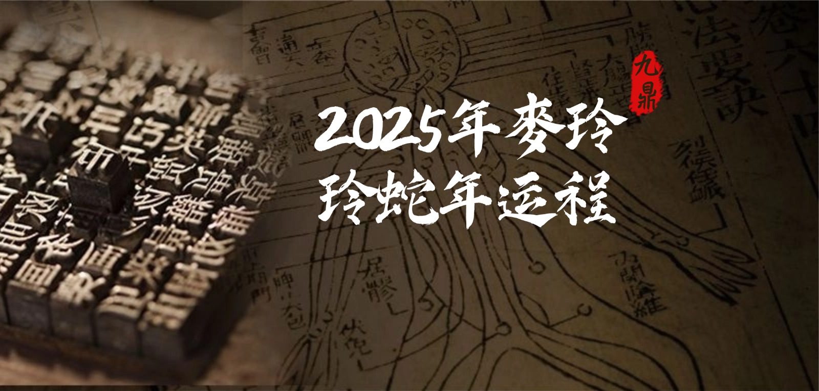 2025年麥玲玲蛇年运程.pdf 454页