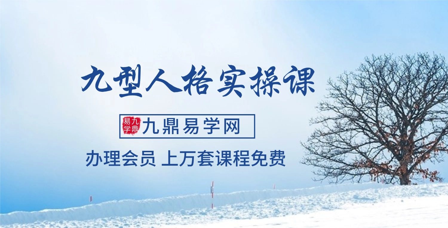 九型人格实操课 21集视频
