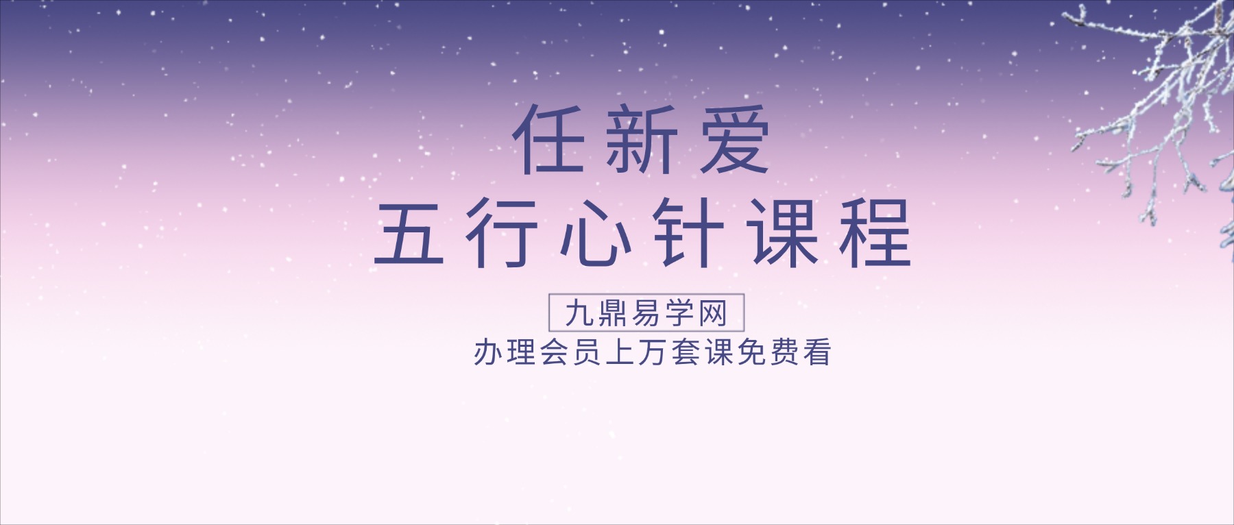 任新爱-五行心针课程 视频30集