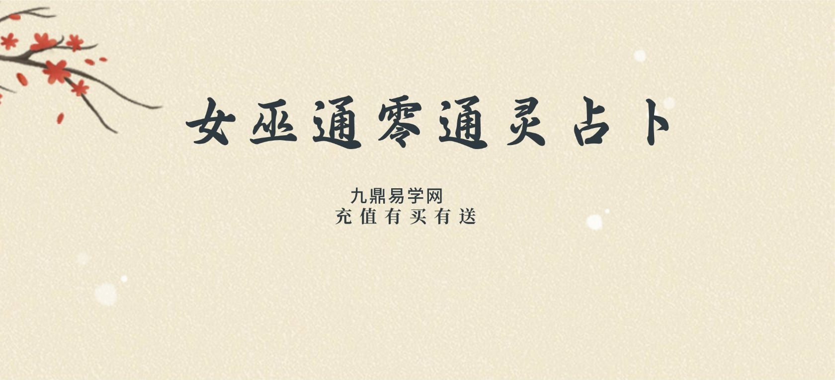 女巫通零通灵占卜课程 视频20集