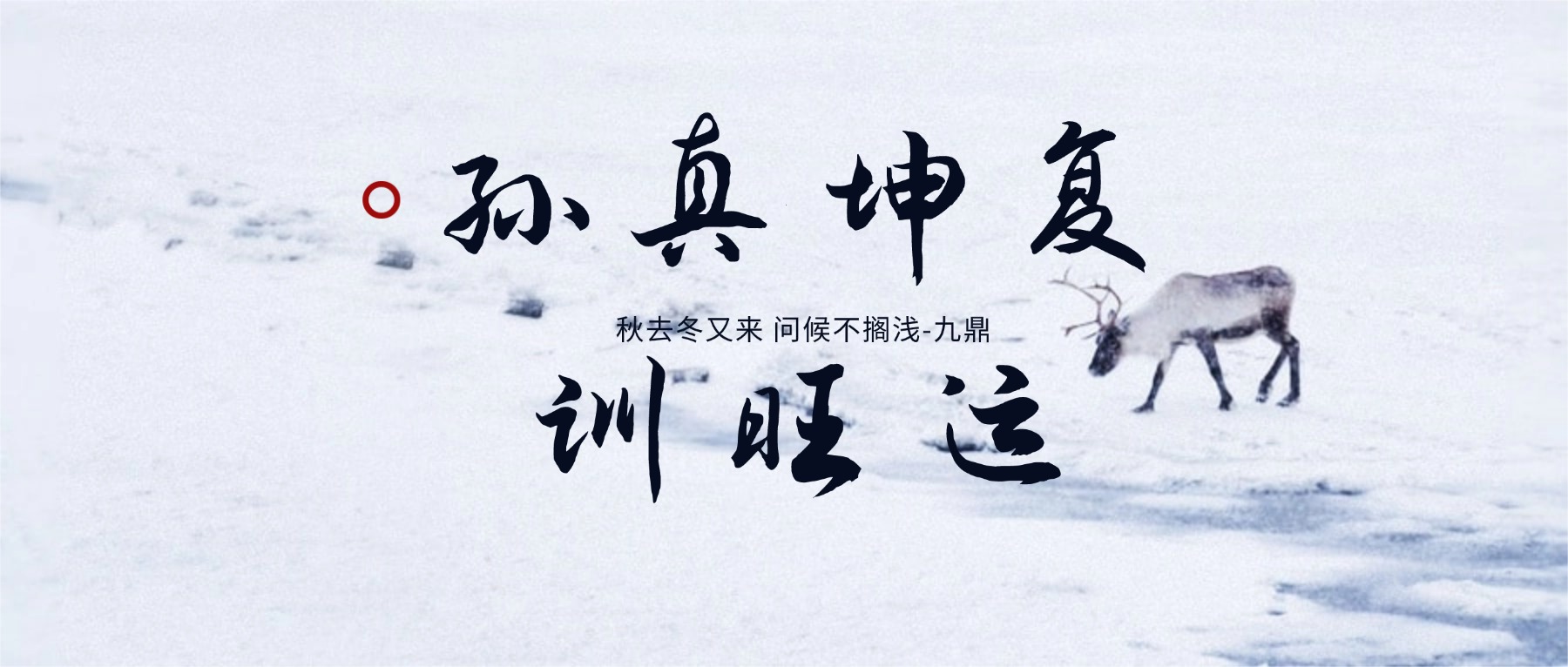 孙真坤复训旺运视频课缺第45集 97集视频