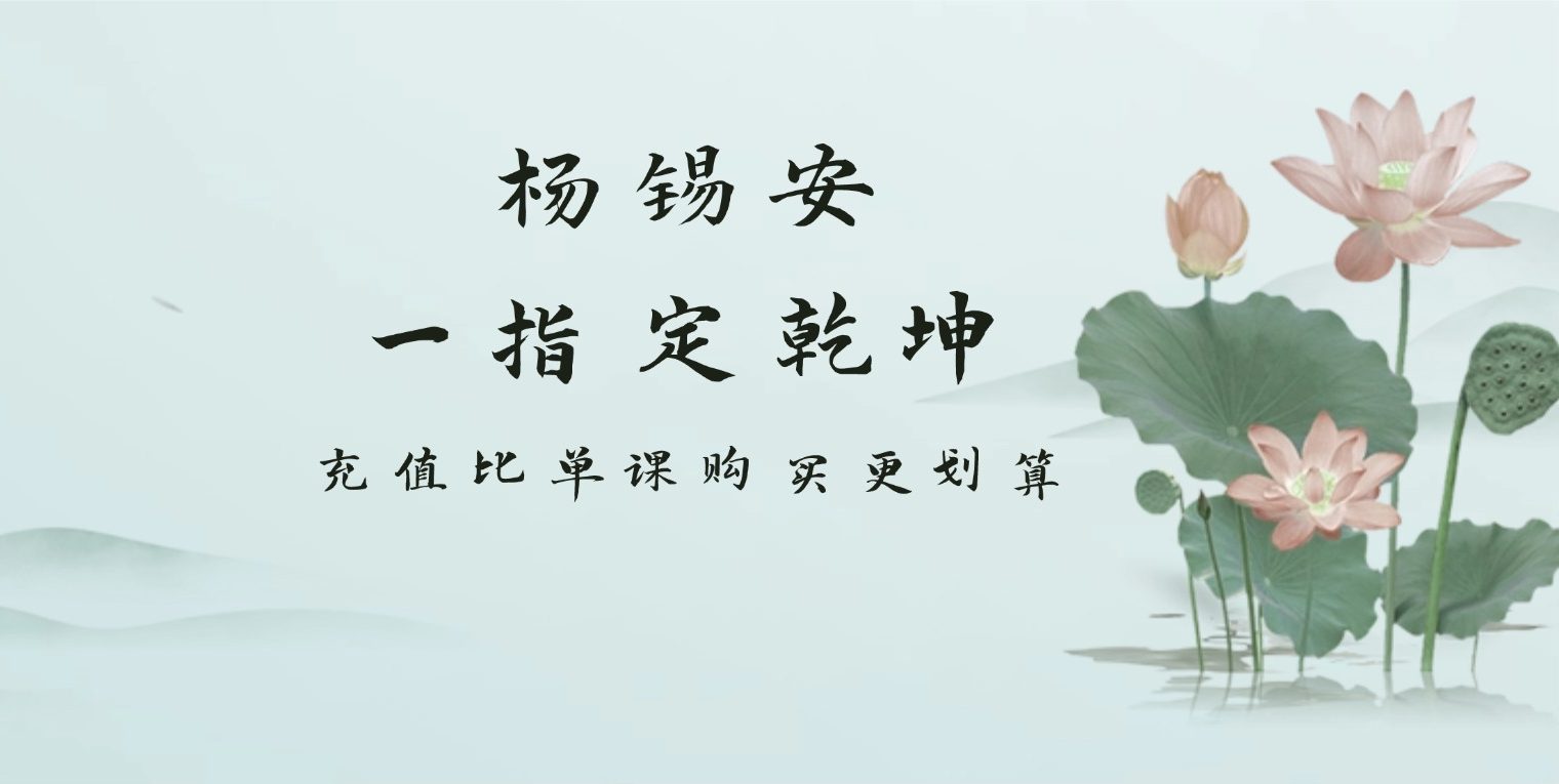 杨锡安 一指定乾坤 9集视频