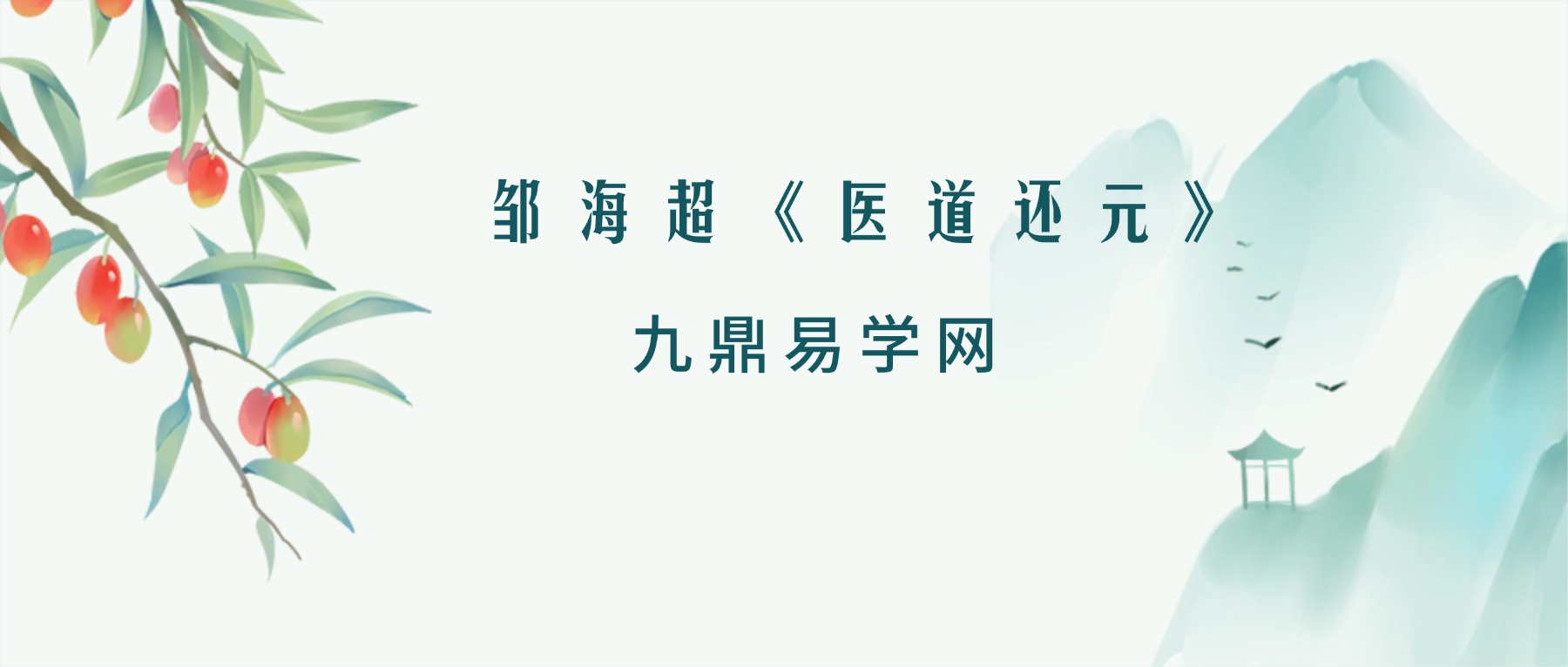 邹海超《医道还元》吕祖法脉实证 首度公开9集视频