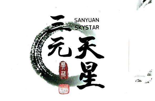 李双林《三元天星风水》李双林最新版出炉！466页pdf