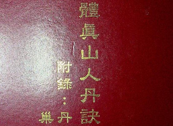 体真山人丹诀密录别集 93页 pdf