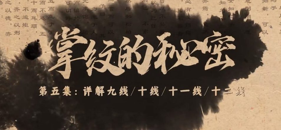 黄凯晟掌纹的秘密 视频20集