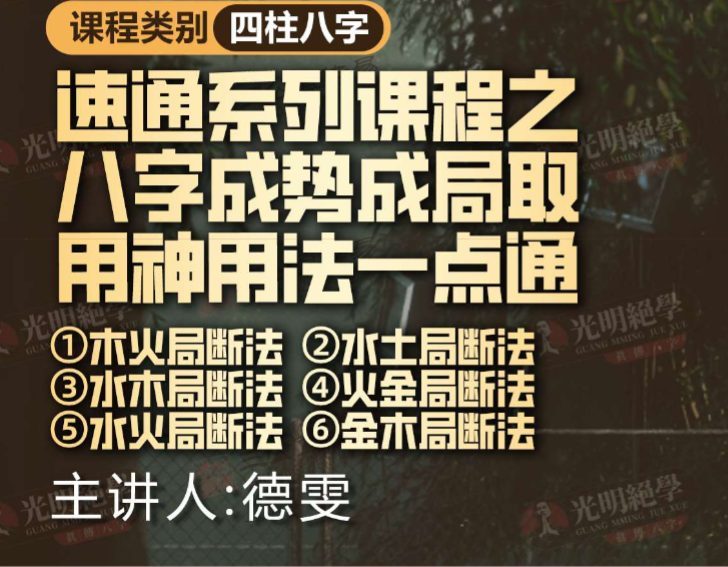 赵璟雯-速通系列课程之八字成势成局取用神法一点通 pdf