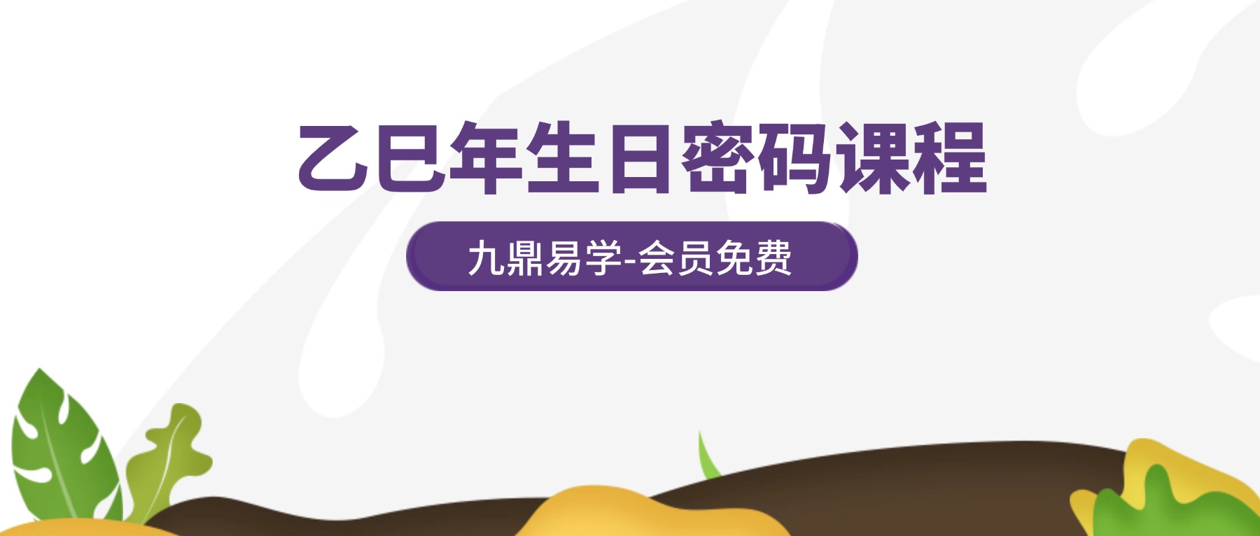乙巳年生日密码课程（第一期）