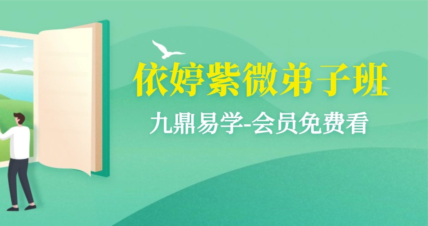 依婷紫微弟子班2025年7月-12月课程 视频12集