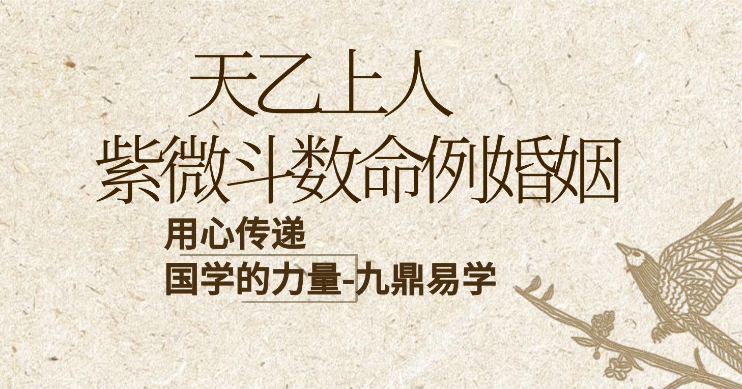 天乙上人紫微斗数命例婚姻 15集视频