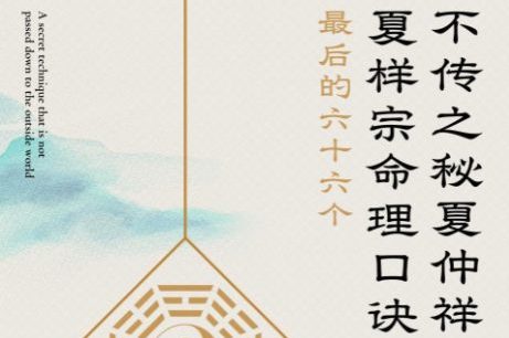 夏光明《不传之秘夏仲祥定当诀&最后的六十六个夏样宗命理口诀》272页pdf