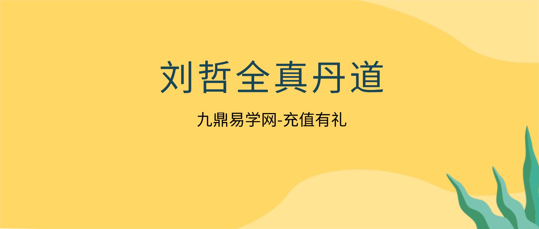刘哲全真丹道8天课程 视频8集