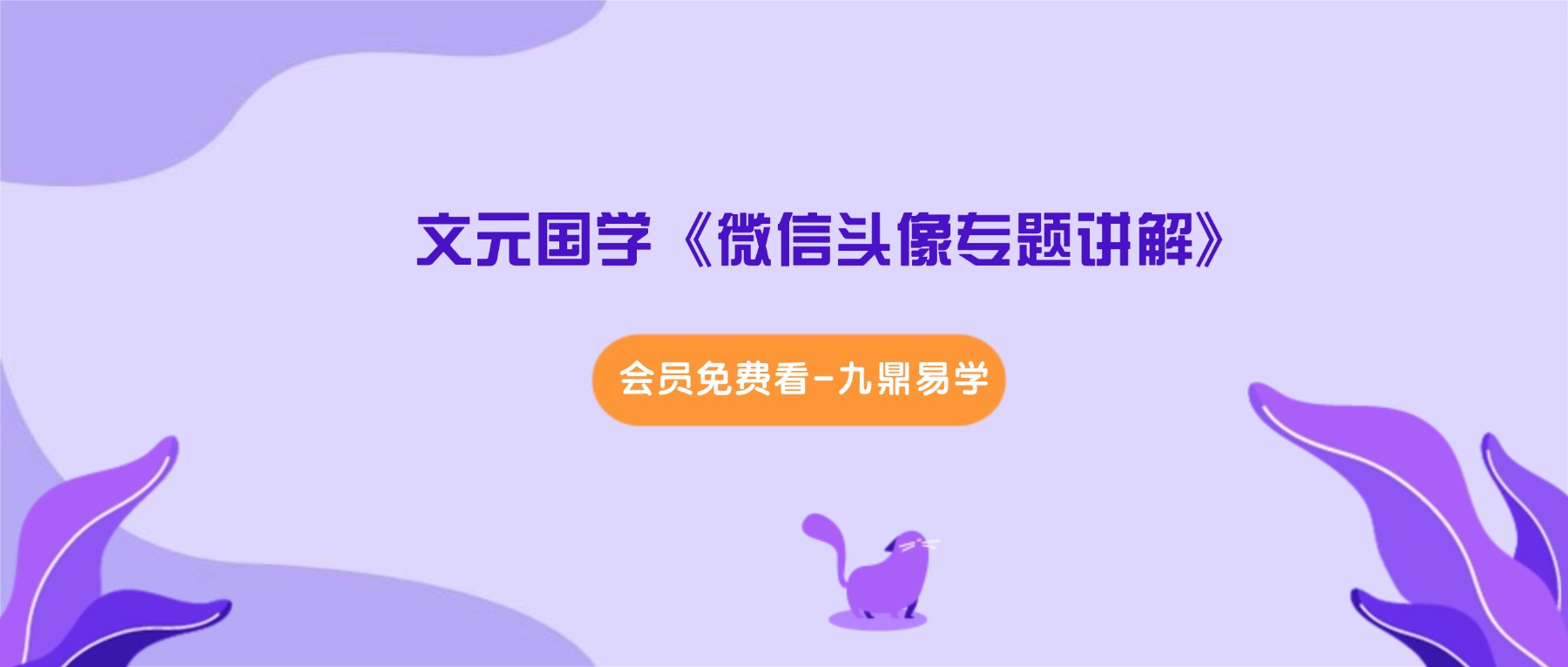 文元国学《微信头像专题讲解》视频57集