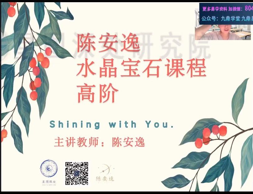 陈安逸水晶高阶课视频27集