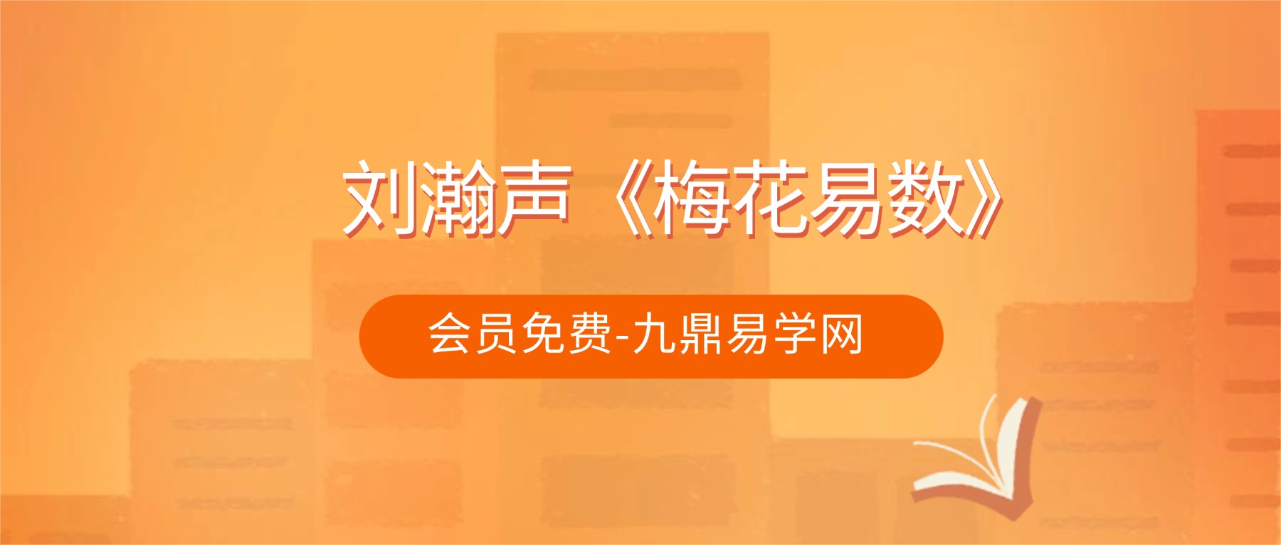 刘瀚声《梅花易数》23集视频约5小时