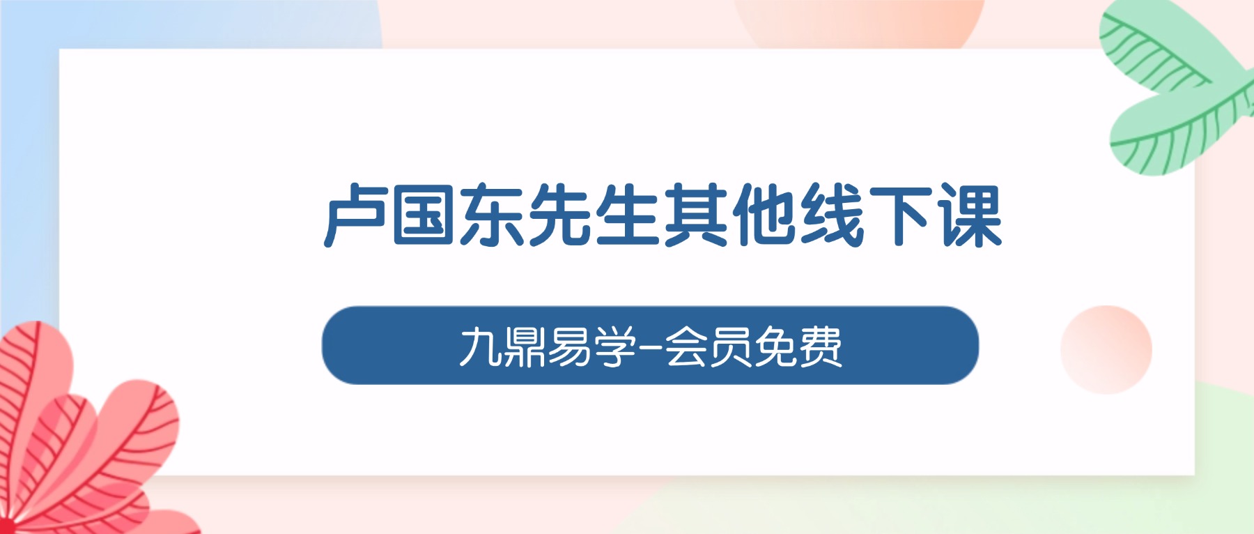 卢国东先生其他线下课程视频+录音