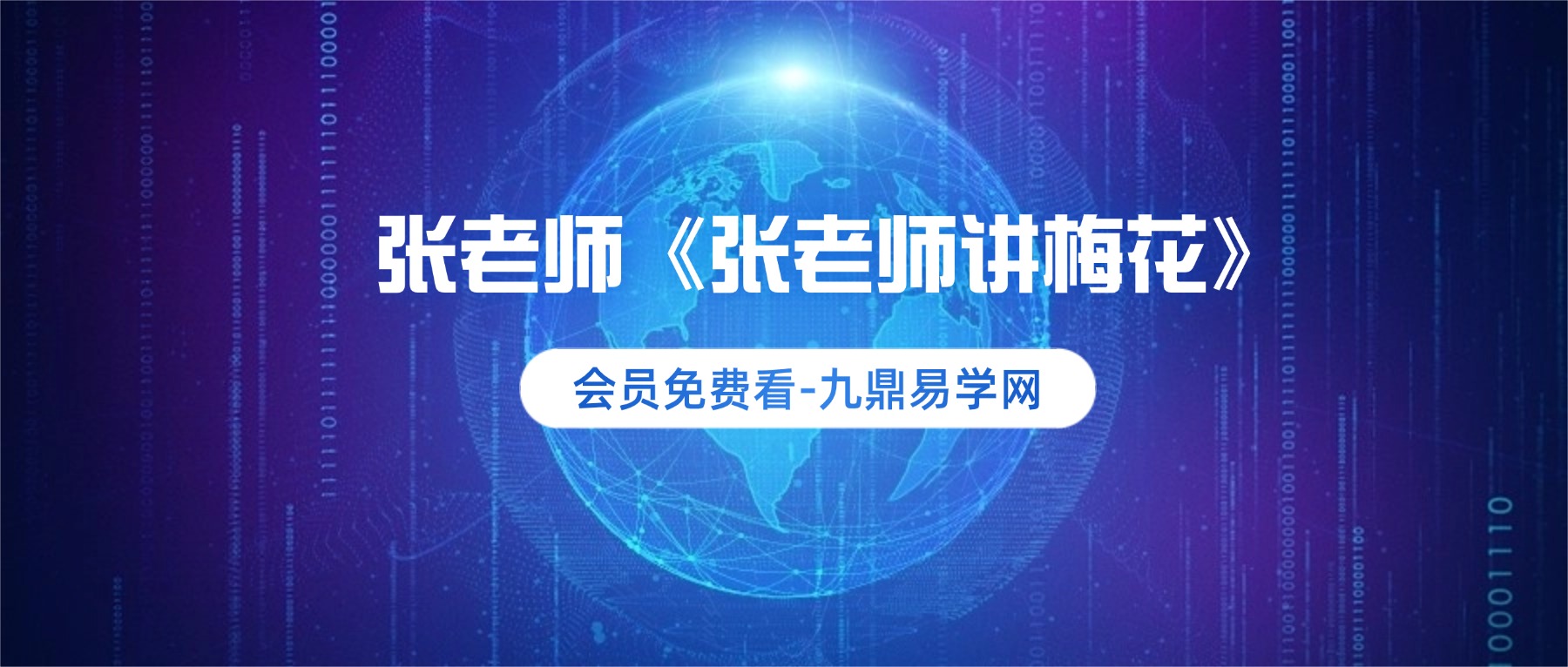 张老师《张老师讲梅花》23集视频