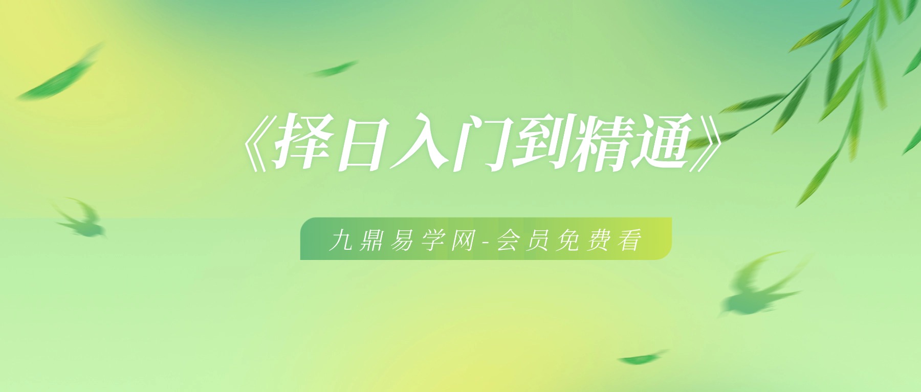 杨公风水培训《择日入门到精通》视频8集