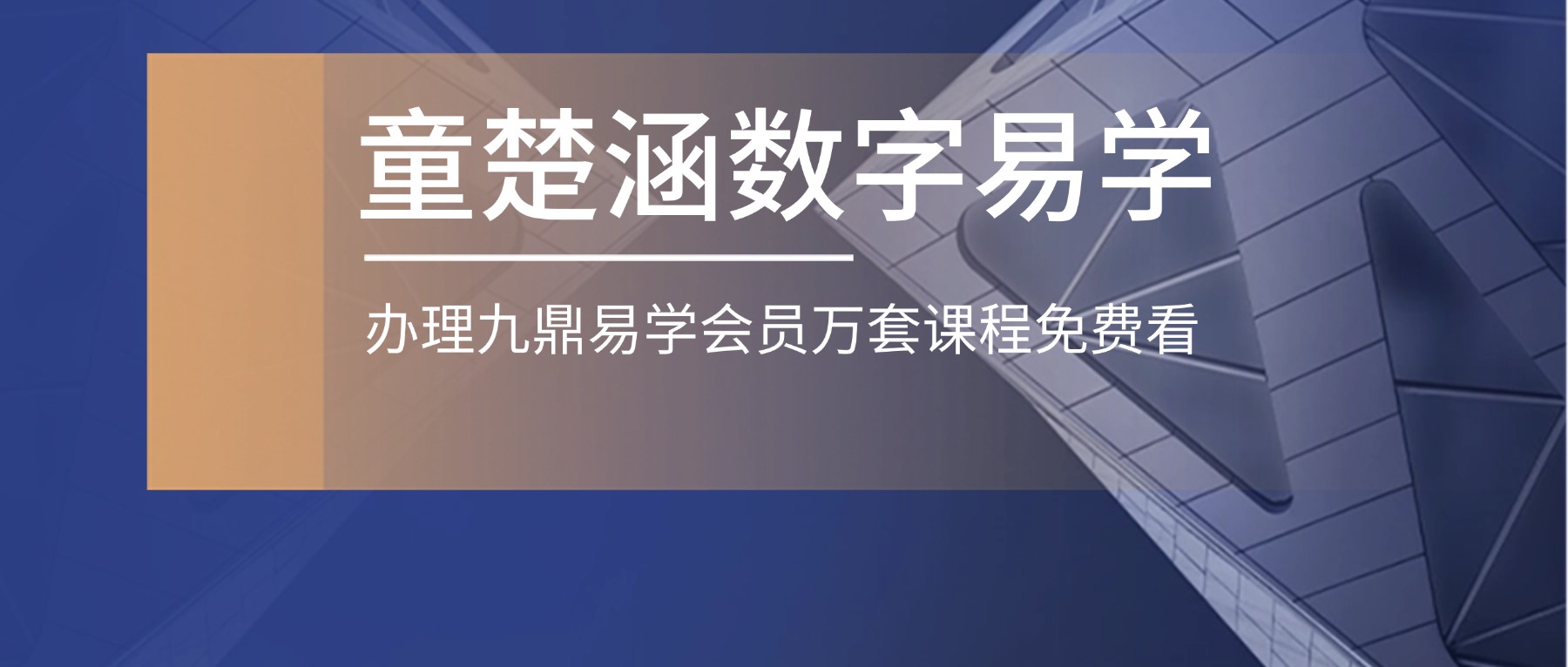 童楚涵数字易学课程视频12集