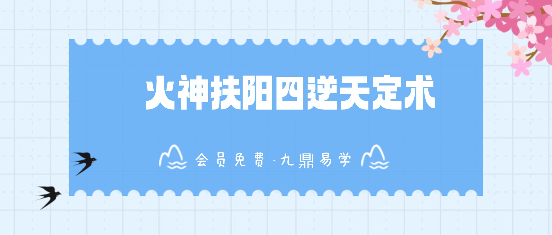 火神扶阳四逆天定术视频45集