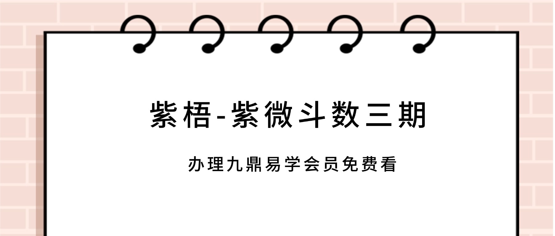 紫梧-紫微斗数三期系统班视频93集+资料pdf