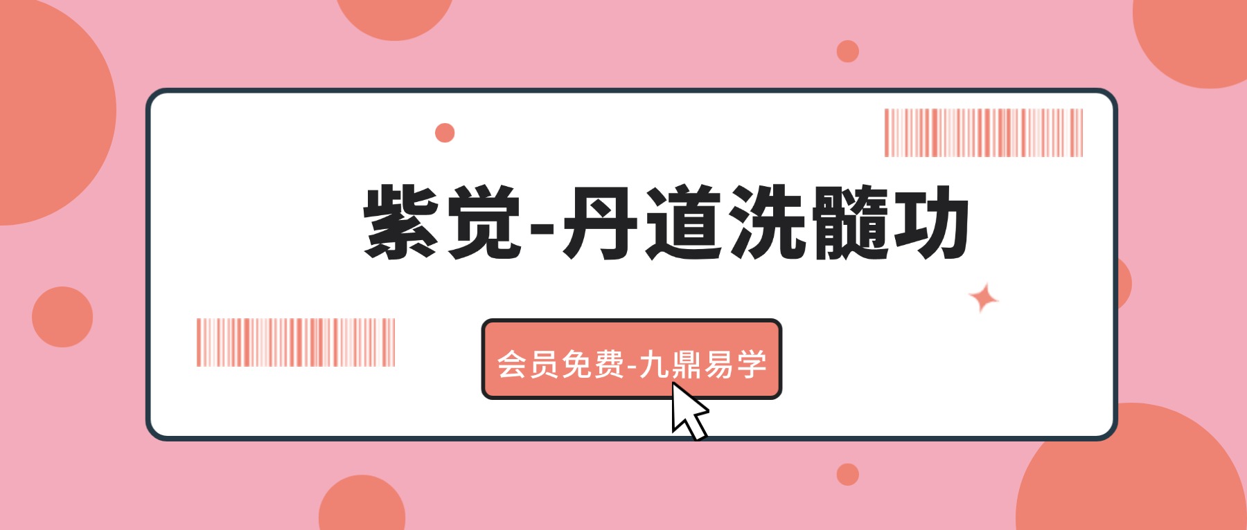 紫觉-丹道洗髓功体系课22节视频课含带练