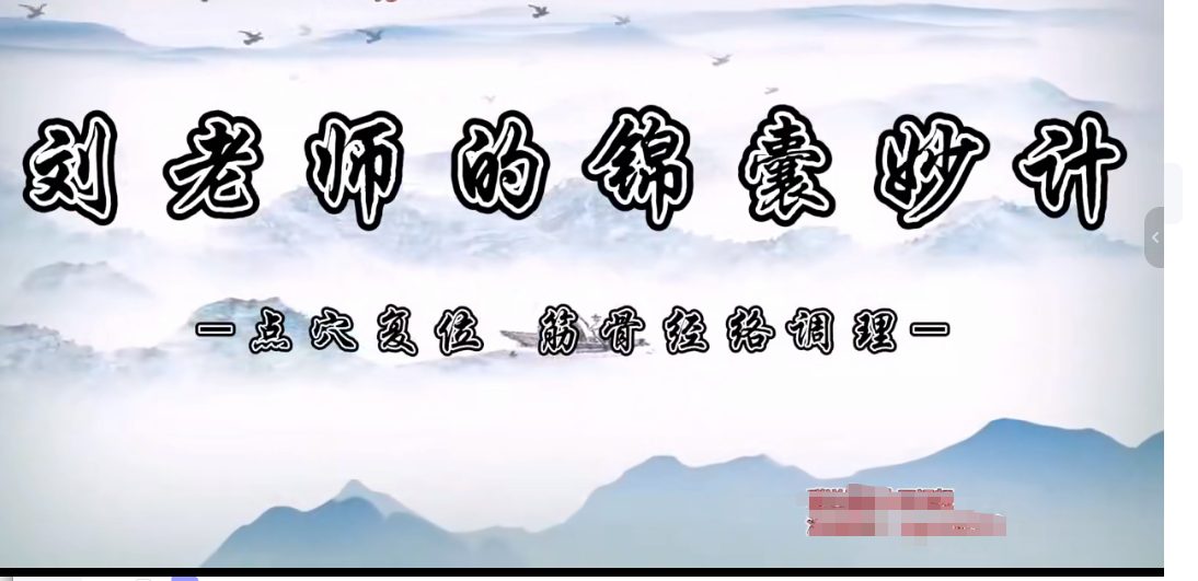 刘老师的锦囊妙计 视频100集