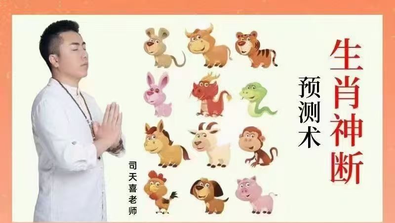 司天喜生肖神断精华班 17集视频