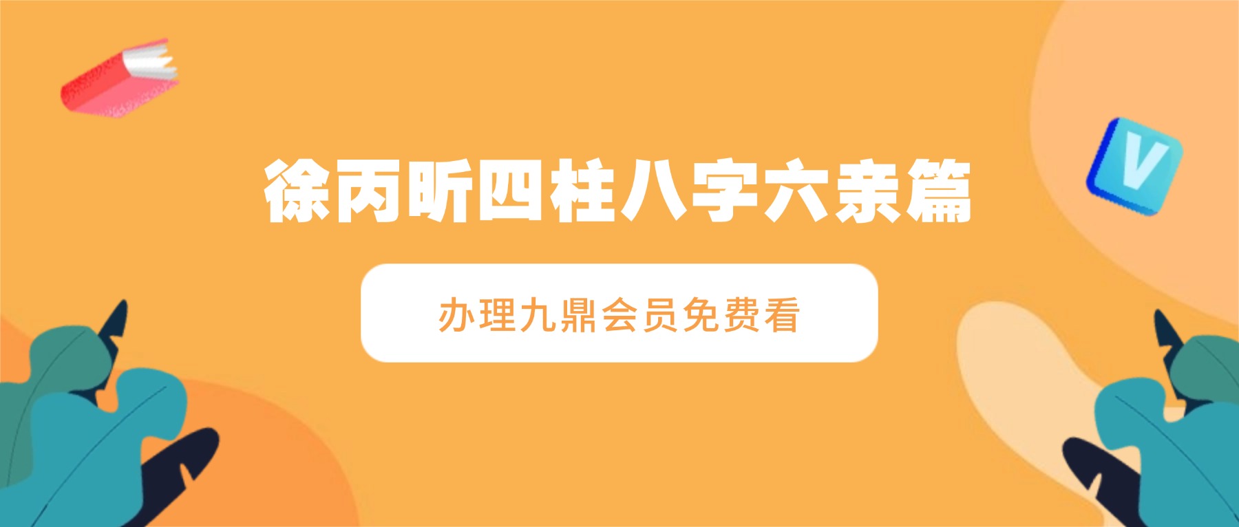 徐丙昕四柱八字六亲篇 视频16集