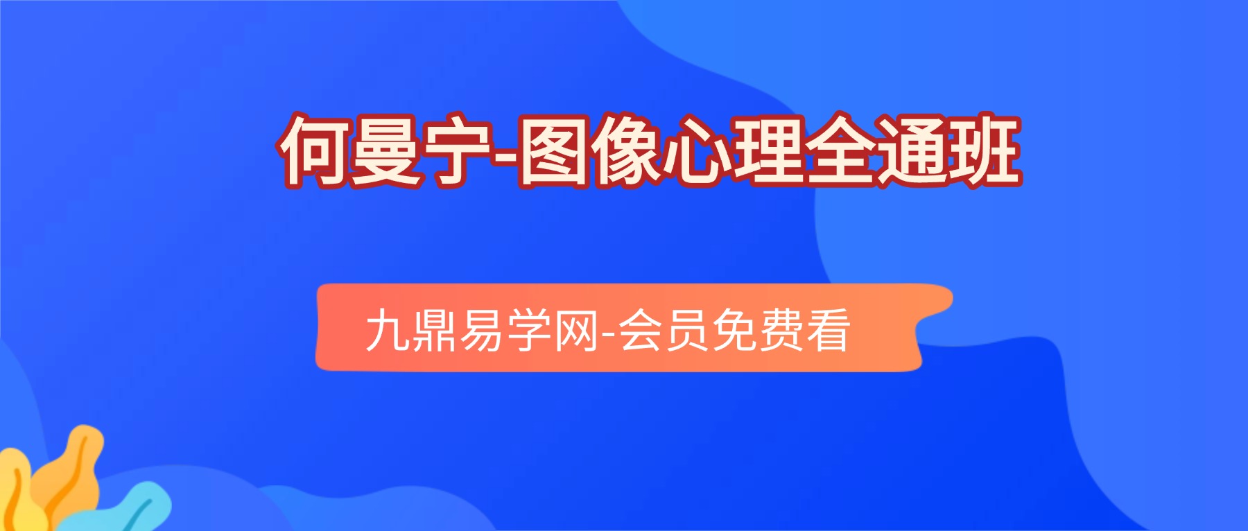 何曼宁图像心理全通班课程视频35集