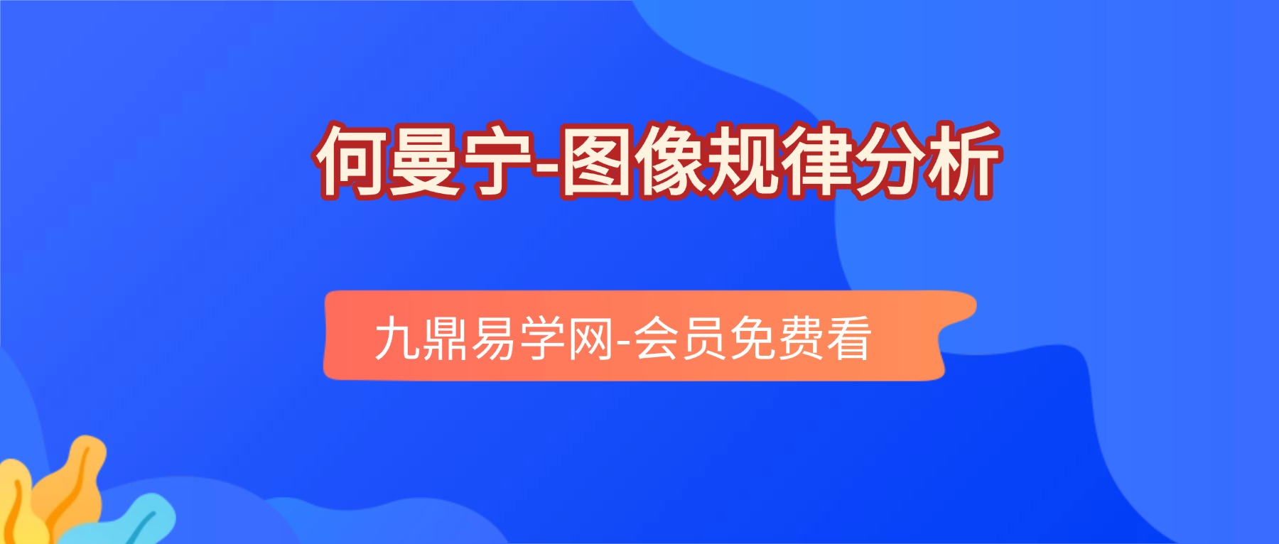 何曼宁图像规律分析34集视频+录音