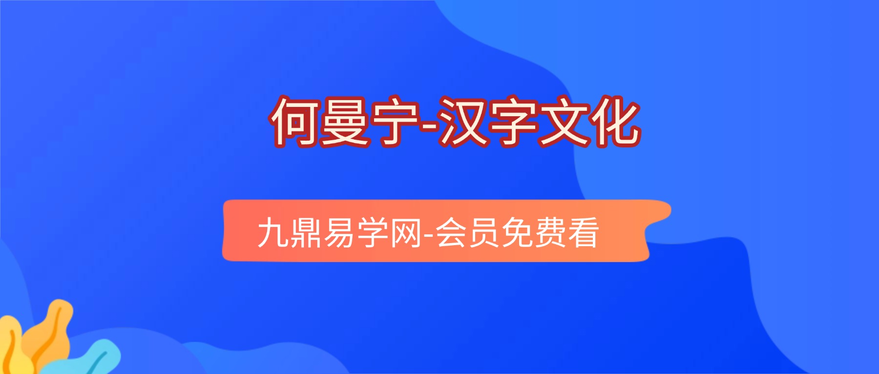 何曼宁汉字文化2025年视频12集