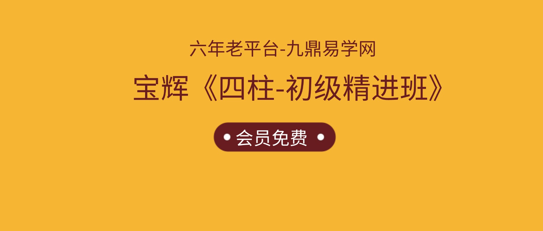 宝辉《四柱-初级精进班》29集视频