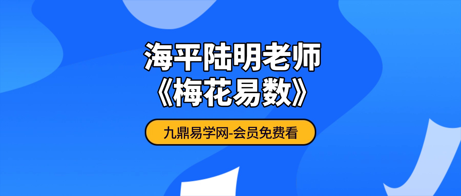 海平陆明老师《梅花易数》58集视频