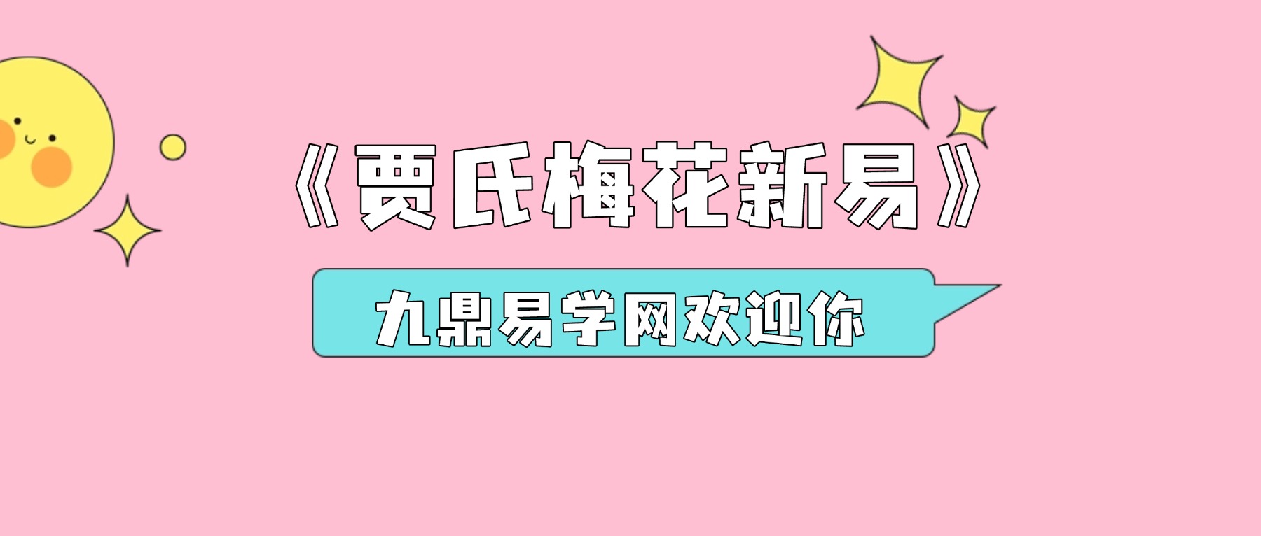 贾云丰《贾氏梅花新易》视频8集