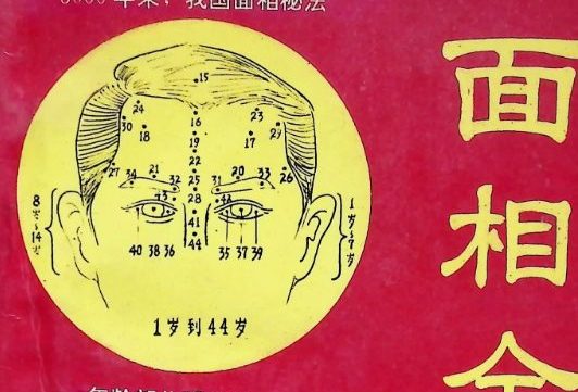 面相全书.pdf 309页