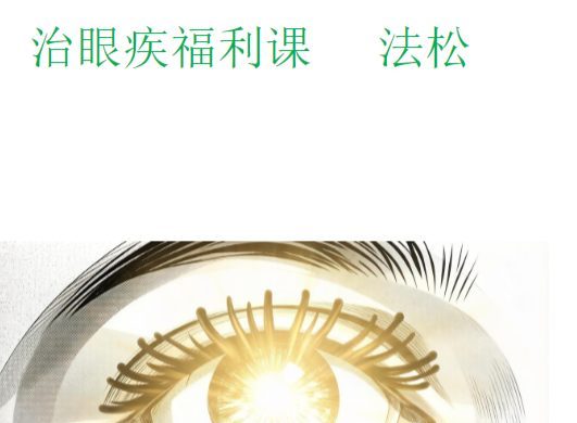 法松 治眼疾 专题 视频+资料pdf