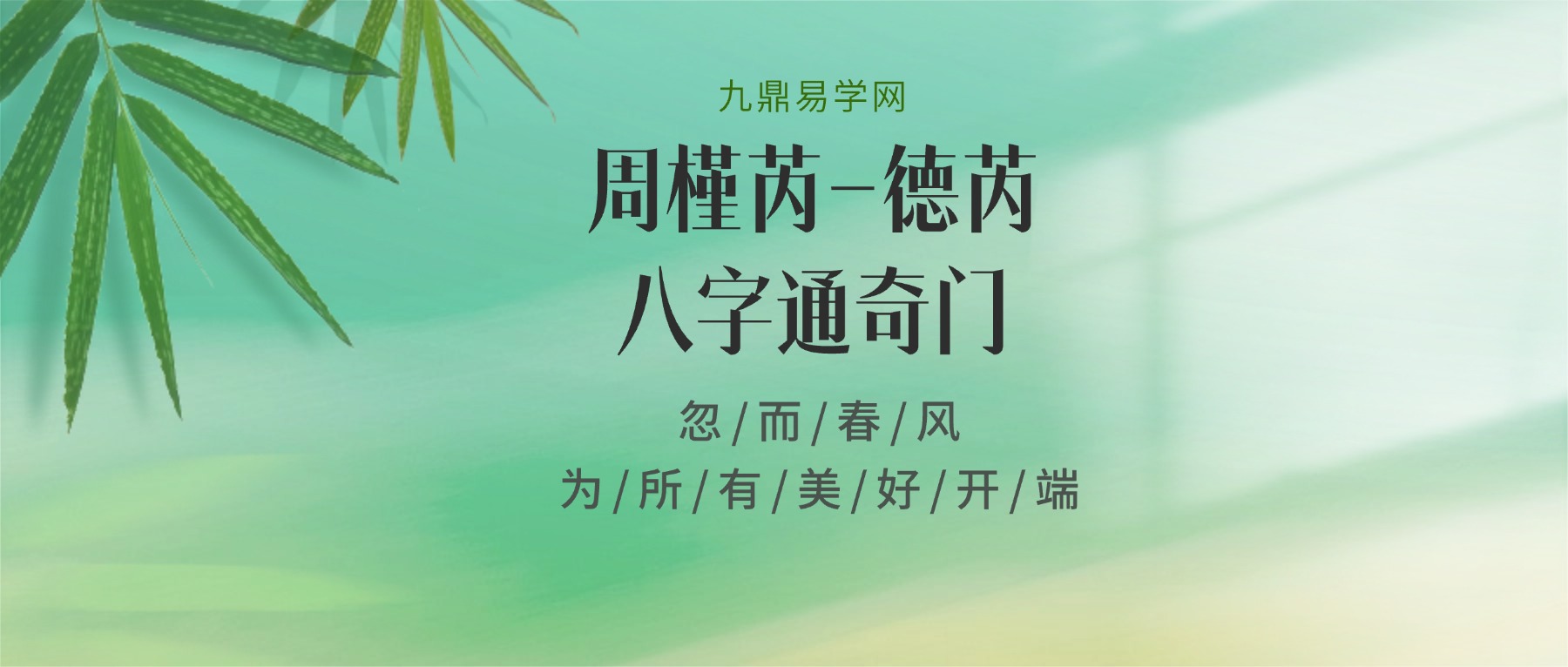 周槿芮德芮八字通奇门两集视频
