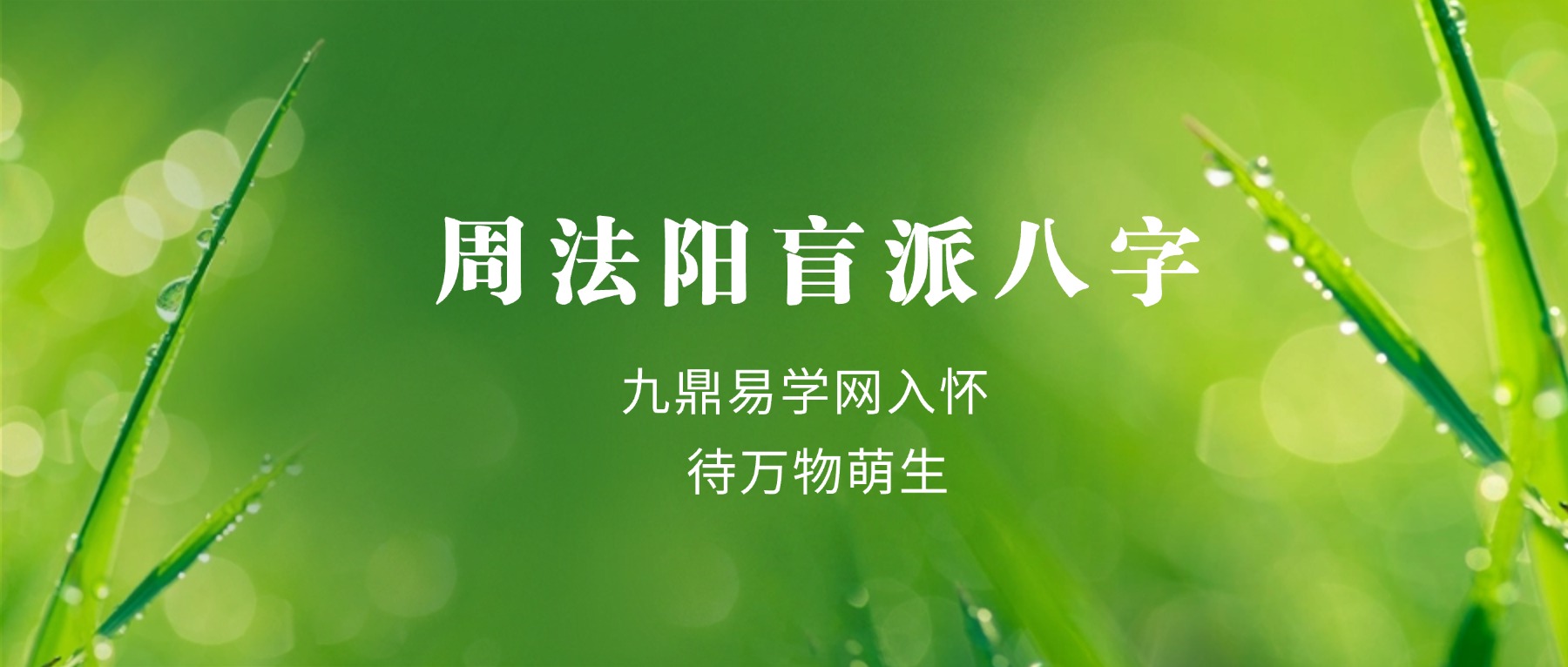 周法阳盲派八字（基础课）30节视频+课件