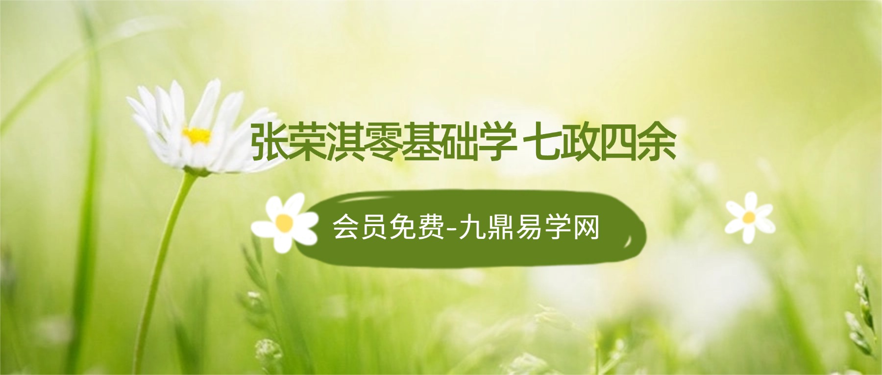 张荣淇零基础学七政四余 视频35集