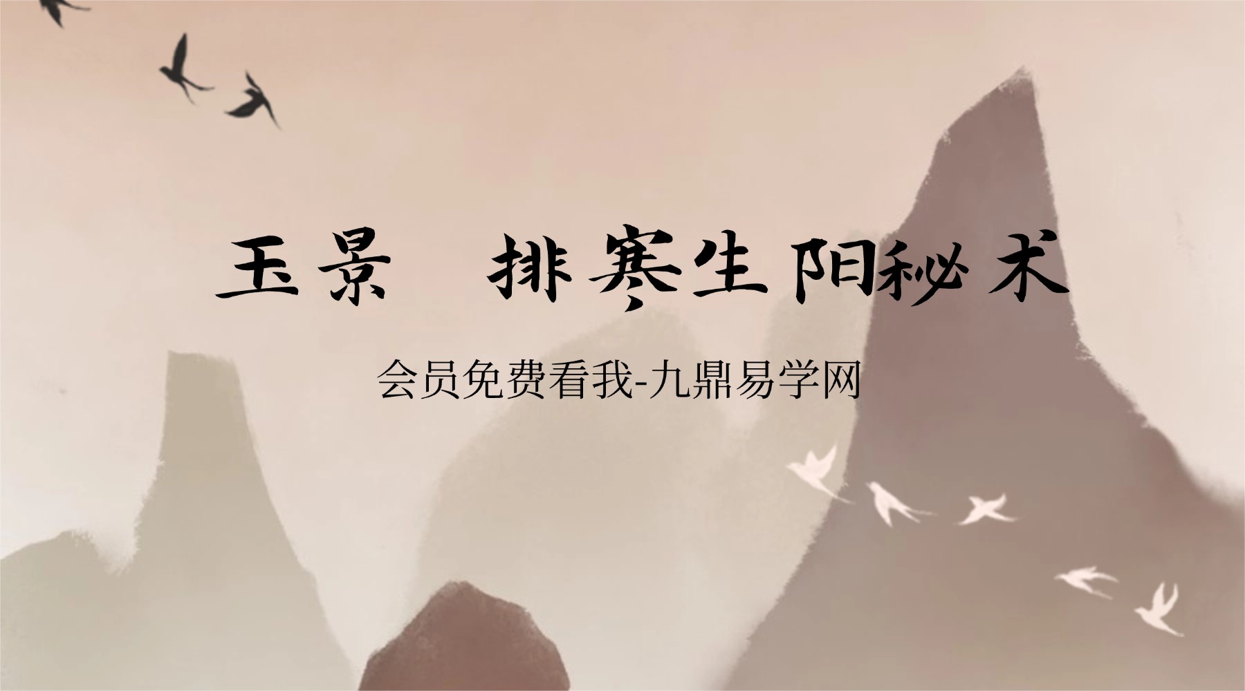 玉景 排寒生阳秘术 音频+资料pdf