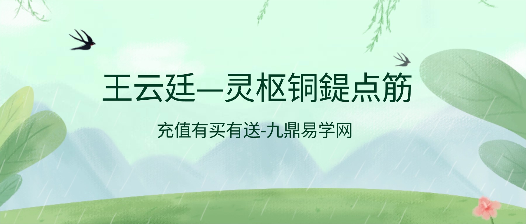 王云廷—灵枢铜鍉点筋决线上课66节课视频