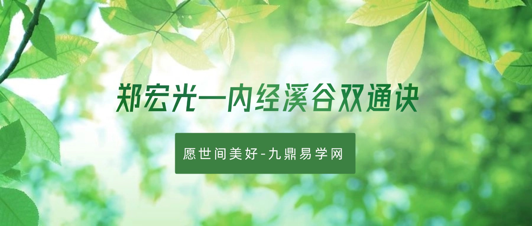郑宏光—内经溪谷双通诀（线上课）视频46集